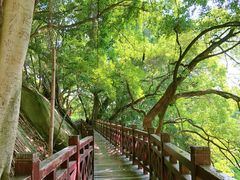 -乌山风景区