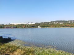 -洛龙公园