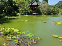 -云溪植物园