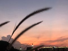 -白石龙音乐公园