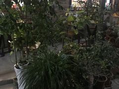 -新疆狼爷烤肉(宋庄店)