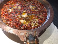 -雲蜀龙阁·金牌水煮鱼(方庄店)