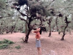 -北海金海湾红树林生态旅游区