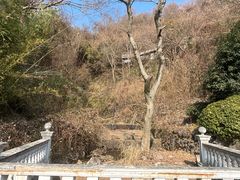 -南京市江宁方山