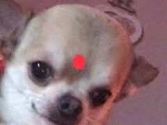 -泰享受·泰式按摩·SPA(海珠广纸店)