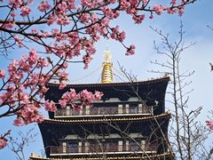 -大伊山景区