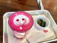 -WHEN PIGS FLY当猪飞