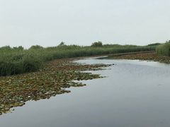 -太湖湖滨国家湿地公园-停车场