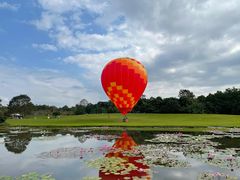 -中国科学院西双版纳热带植物园