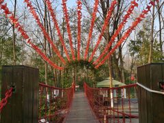 -合肥滨湖国家森林公园