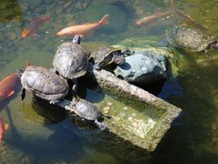 -清漾毛氏文化村