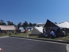 -春花秋色城市公园