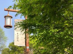 -中国茶叶博物馆(双峰馆区)
