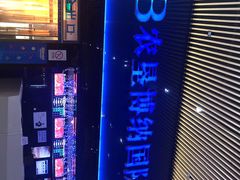 -农垦博纳国际影城(津奥广场IMAX店)