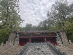 -高尔山公园