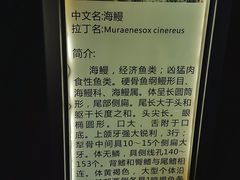 -苏州海洋馆
