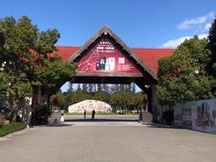 -上海海湾国家森林公园