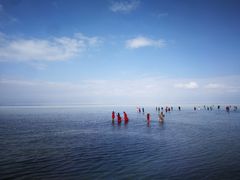 -青海湖国家重点风景名胜区