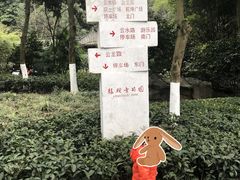 -龙头寺公园