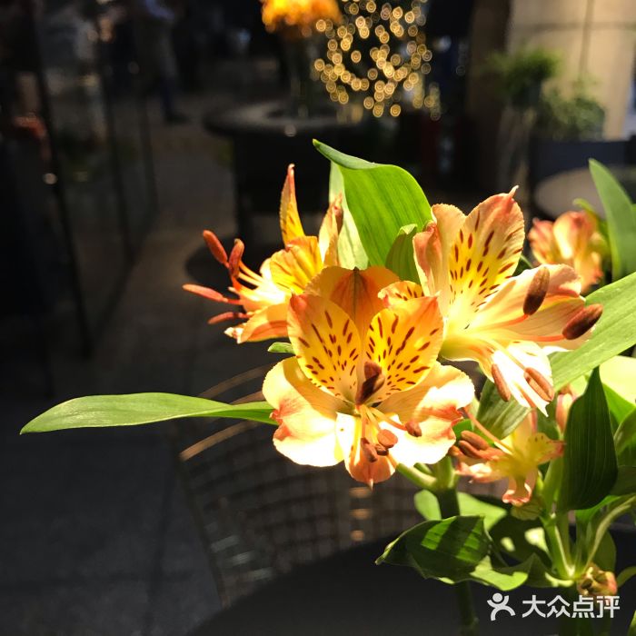 原食日记(合生汇购物中心店)图片