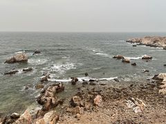 -养马岛旅游度假区