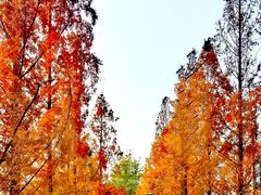 -元大都城垣遗址公园