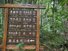 -五营红松林海景区