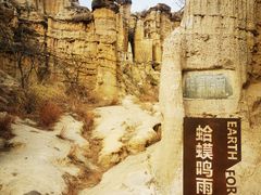 -元谋土林景区(物茂土林)