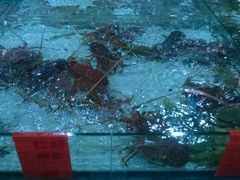 大堂-渔傅·蓝海岸霞浦海鲜(正祥店)
