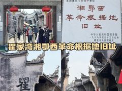 -洪湖湿地生态园