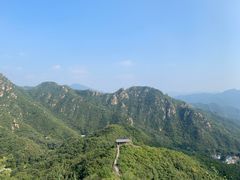 -大岭沟猕猴桃谷风景区