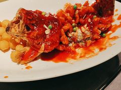 -吴越荣记苏州菜·松鼠桂鱼 100% 活鱼现做(月光码头店)