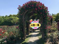 -上海滨江森林公园