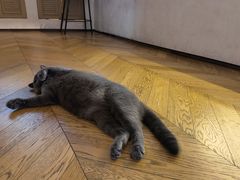 -Me Coffee下午茶艺术空间