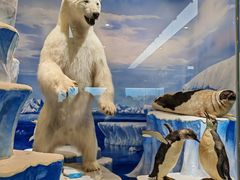 -国家自然博物馆