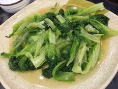 -鸽鸟轩(石岐店)