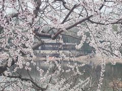 -北坞公园