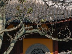 -龙华寺