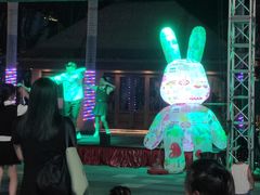 -三亚湾红树林国际会展中心(演出售票)