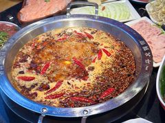 -一斗火锅·招财羊毛肚(泰吉滨江店)