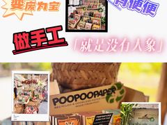 -大象粑粑造纸公园