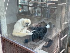 -昆明动物园