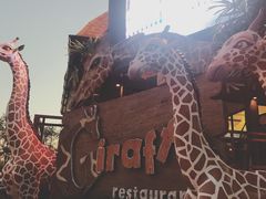 门面-清迈夜间动物园