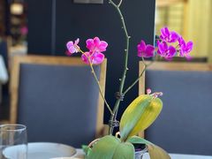 -粤秀餐厅(国货店)