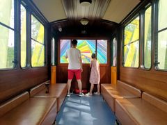 -合肥滨湖国家森林公园