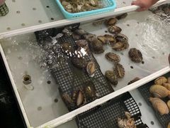 -大湾区中央湿地公园-十九涌