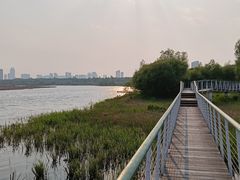 -哈尔滨大剧院