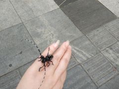 -万达广场(沈阳铁西店)