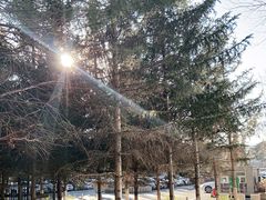 -长春世界雕塑园冰雪艺术天地