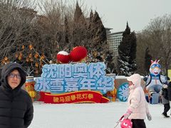 -沈阳奥体冰雪嘉年华